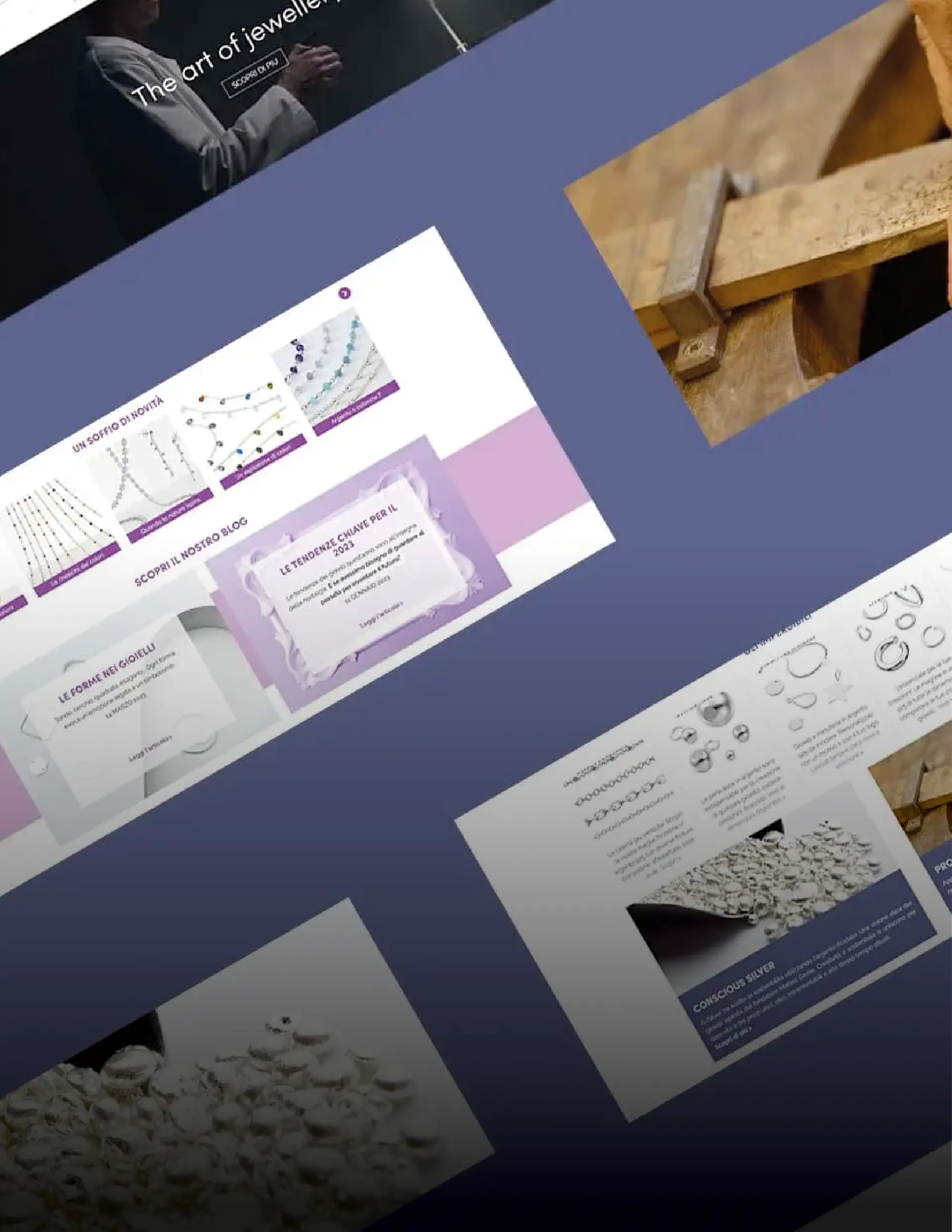 Sviluppo e-commerce B2B con OroCommerce per G-Silver