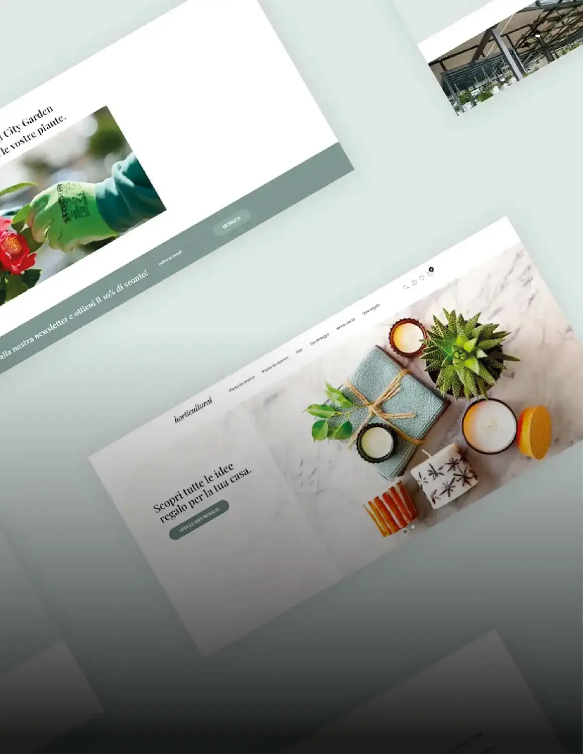 Sviluppo e-commerce B2C con Magento 2 per Horticultural
