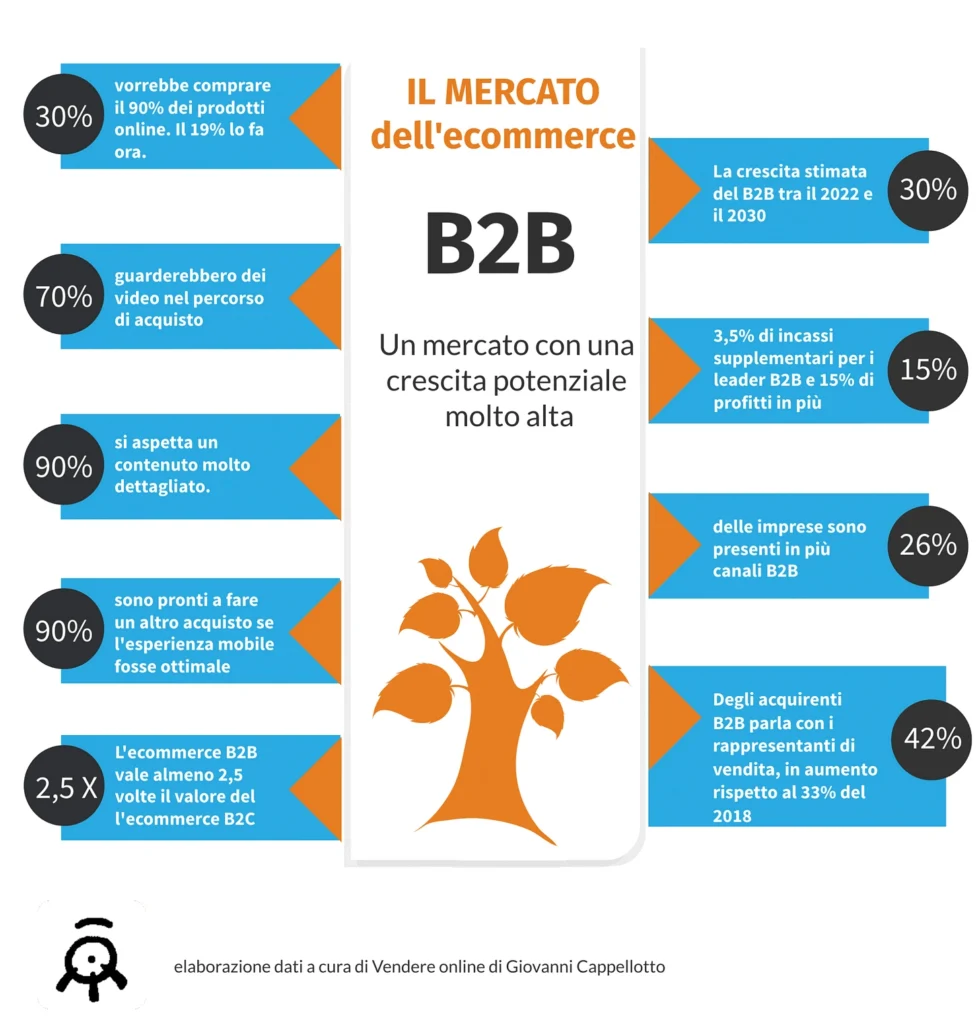 infografica ecommerce B2B